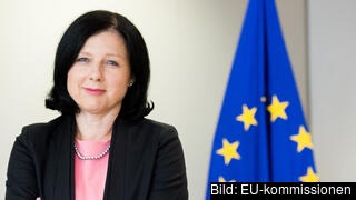Händelserna i USA visar att demokratin behöver skyddas, även i EU. Internetplattformarna måste ta ansvar för att ta bort olagligt innehåll, desinformation måste bekämpas och vi måste sluta att låtsas som att de stora plattformarna har konkurrens. Det skriver EU-kommissionens vice ordförande Věra Jourová.