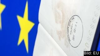 Enligt Transparency International kan systemen med guldvisum missbrukas och det ökar risken för korruption. Enligt Transparency International kan systemen med guldvisum missbrukas och det ökar risken för korruption.
