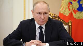 Rysslands ledare Vladimir Putin. Arkivbild. Rysslands ledare Vladimir Putin. Arkivbild.
