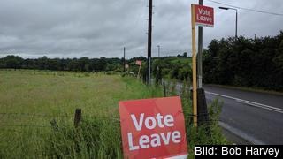 Vote Leave var en av de kampanjorganisationer som betalade för dark ads på Facebook. 