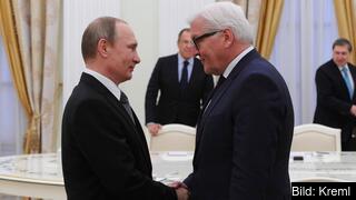 Den ryske presidenten Vladimir Putin träffar den dåvarande tyske utrikesministern Frank-Walter Steinmeier 2016. Arkivbild. Den ryske presidenten Vladimir Putin träffar den dåvarande tyske utrikesministern Frank-Walter Steinmeier 2016. Arkivbild.